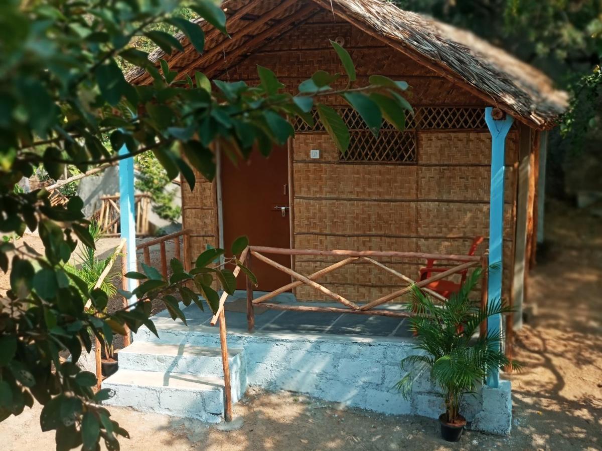 Hampi Nature Cottage Exterior photo